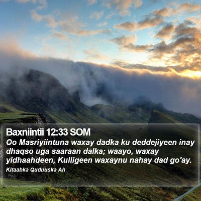 Baxniintii 12:33 SOM Bible Verse Image
