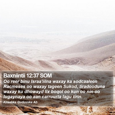 Baxniintii 12:37 SOM Bible Verse Image