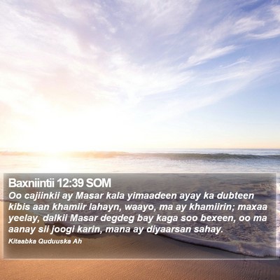 Baxniintii 12:39 SOM Bible Verse Image
