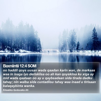 Baxniintii 12:4 SOM Bible Verse Image