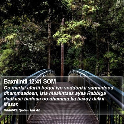 Baxniintii 12:41 SOM Bible Verse Image