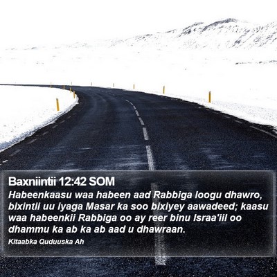 Baxniintii 12:42 SOM Bible Verse Image