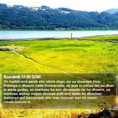 Baxniintii 12:48 SOM Bible Verse Image