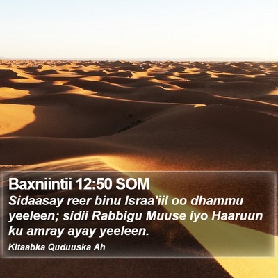 Baxniintii 12:50 SOM Bible Verse Image
