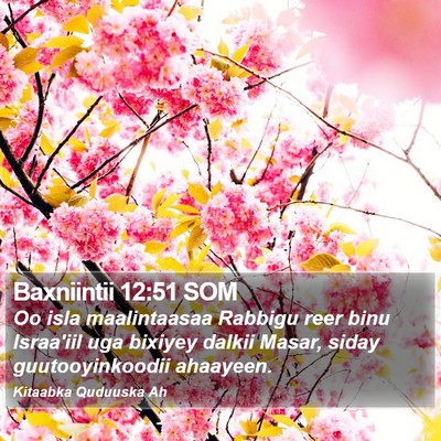 Baxniintii 12:51 SOM Bible Verse Image