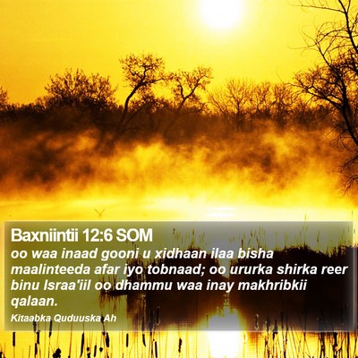 Baxniintii 12:6 SOM Bible Verse Image
