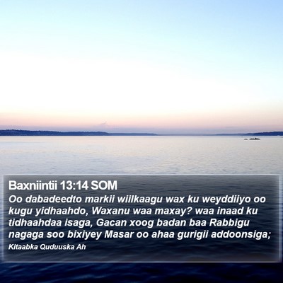 Baxniintii 13:14 SOM Bible Verse Image