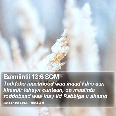Baxniintii 13:6 SOM Bible Verse Image
