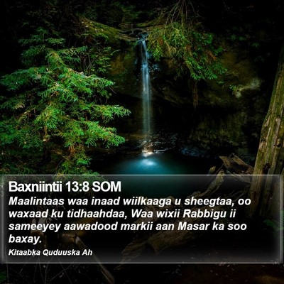 Baxniintii 13:8 SOM Bible Verse Image