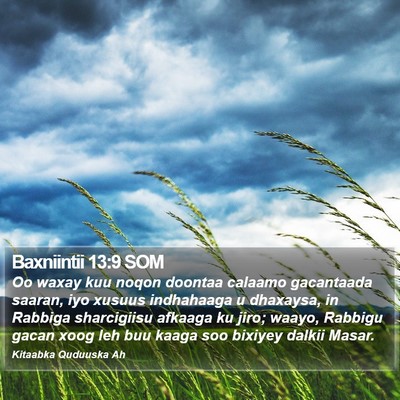 Baxniintii 13:9 SOM Bible Verse Image