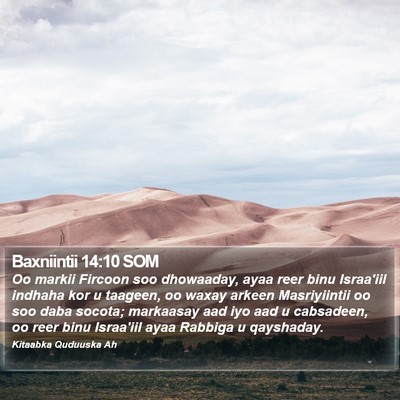 Baxniintii 14:10 SOM Bible Verse Image