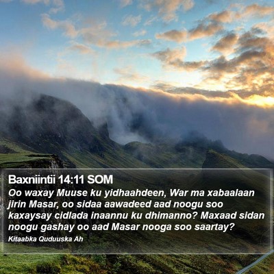 Baxniintii 14:11 SOM Bible Verse Image