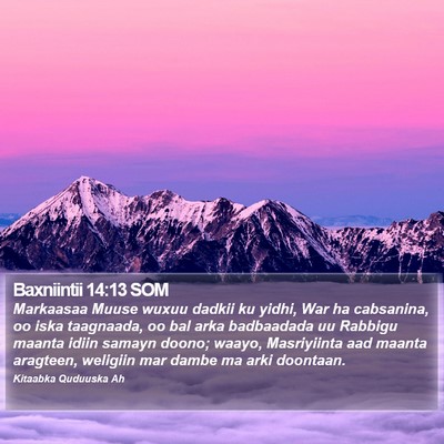 Baxniintii 14:13 SOM Bible Verse Image