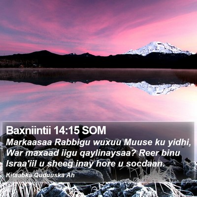 Baxniintii 14:15 SOM Bible Verse Image