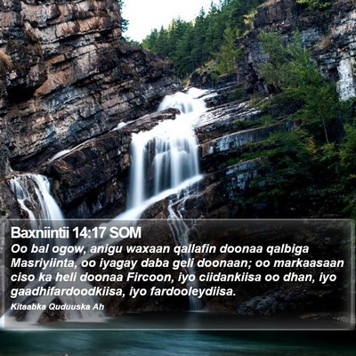 Baxniintii 14:17 SOM Bible Verse Image