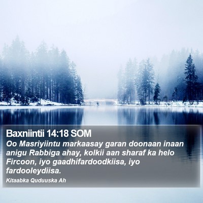 Baxniintii 14:18 SOM Bible Verse Image