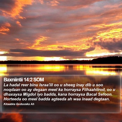 Baxniintii 14:2 SOM Bible Verse Image