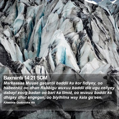 Baxniintii 14:21 SOM Bible Verse Image