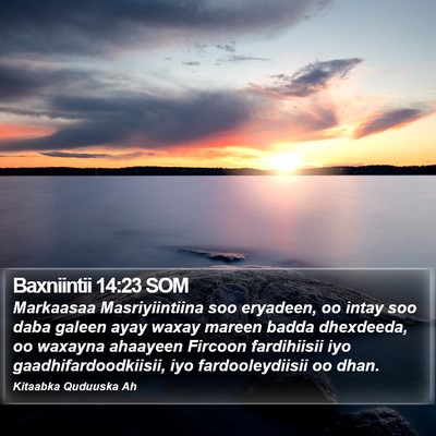 Baxniintii 14:23 SOM Bible Verse Image