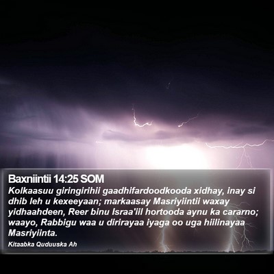 Baxniintii 14:25 SOM Bible Verse Image