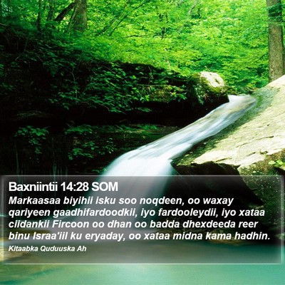 Baxniintii 14:28 SOM Bible Verse Image