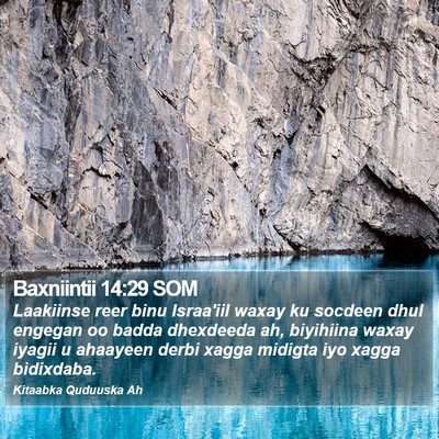 Baxniintii 14:29 SOM Bible Verse Image