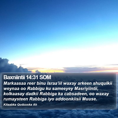 Baxniintii 14:31 SOM Bible Verse Image