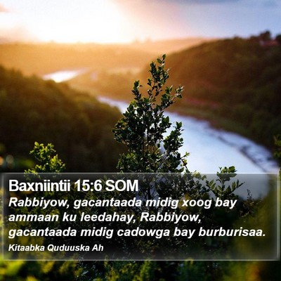 Baxniintii 15:6 SOM Bible Verse Image