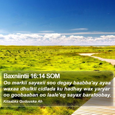 Baxniintii 16:14 SOM Bible Verse Image