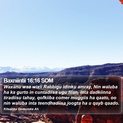 Baxniintii 16:16 SOM Bible Verse Image