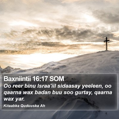 Baxniintii 16:17 SOM Bible Verse Image