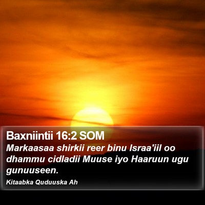 Baxniintii 16:2 SOM Bible Verse Image