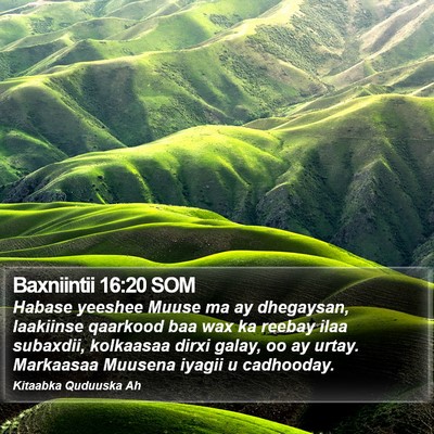 Baxniintii 16:20 SOM Bible Verse Image