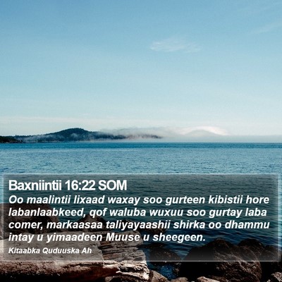 Baxniintii 16:22 SOM Bible Verse Image