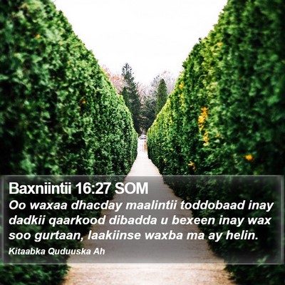Baxniintii 16:27 SOM Bible Verse Image