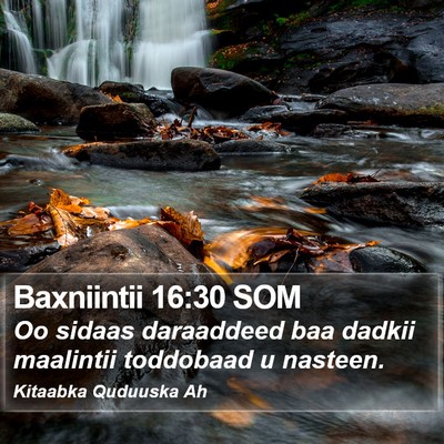 Baxniintii 16:30 SOM Bible Verse Image