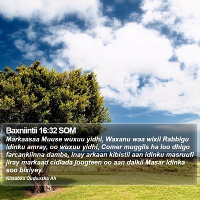 Baxniintii 16:32 SOM Bible Verse Image