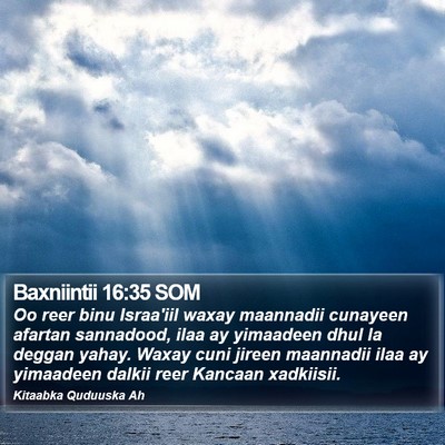 Baxniintii 16:35 SOM Bible Verse Image