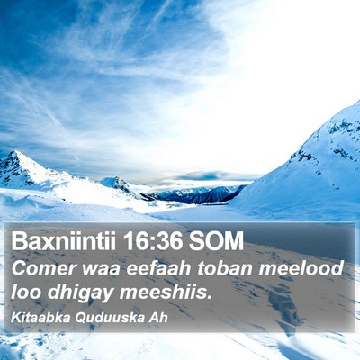 Baxniintii 16:36 SOM Bible Verse Image