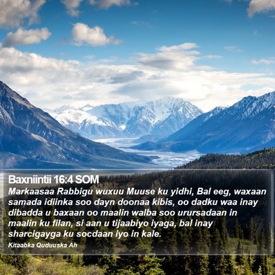 Baxniintii 16:4 SOM Bible Verse Image