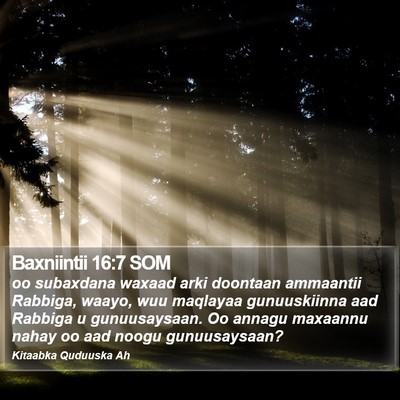 Baxniintii 16:7 SOM Bible Verse Image