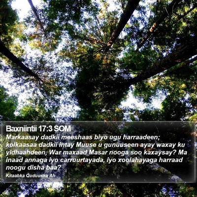 Baxniintii 17:3 SOM Bible Verse Image