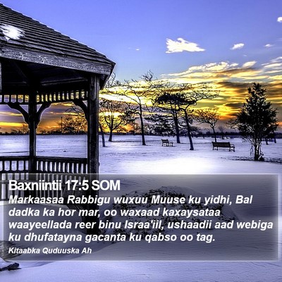 Baxniintii 17:5 SOM Bible Verse Image