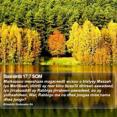 Baxniintii 17:7 SOM Bible Verse Image