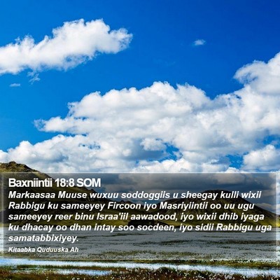Baxniintii 18:8 SOM Bible Verse Image