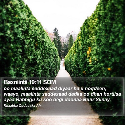 Baxniintii 19:11 SOM Bible Verse Image