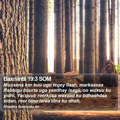 Baxniintii 19:3 SOM Bible Verse Image