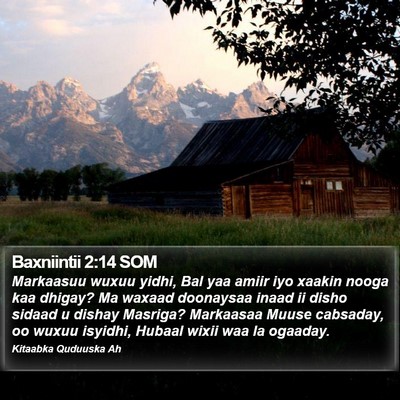 Baxniintii 2:14 SOM Bible Verse Image