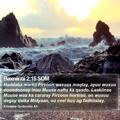 Baxniintii 2:15 SOM Bible Verse Image