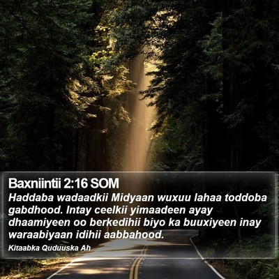 Baxniintii 2:16 SOM Bible Verse Image
